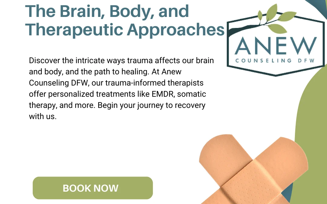 Understanding Trauma: Its Impact on Your Body, Brain, and How Anew Counseling Can Help